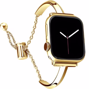 Bracelet Apple Watch Acier Inoxydable Demi-Jonc et Chaînette - EzStrap - Argent