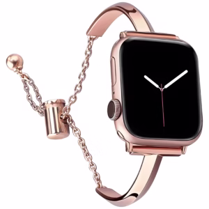 Bracelet Apple Watch Acier Inoxydable Demi-Jonc et Chaînette - EzStrap - Argent